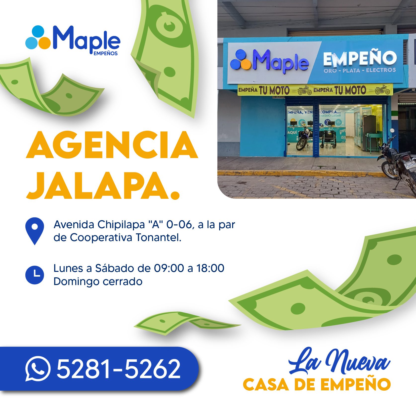 Agencias Maple en Jalapa